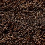 Dirt Studios