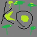 Ko Project