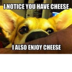 The cheese Doges!!!