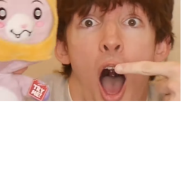 Oink OINK Obey