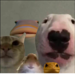 Memes Incorporated.
