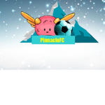 Pinnacle Football Club