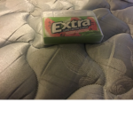 Water-melon-gum-group