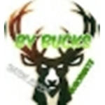 Deers company
