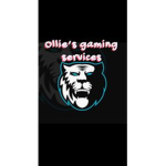 ollies gaming service
