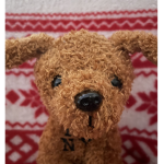Doggy Fanpage