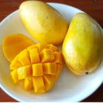 x.mango.squad.x