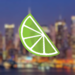The Lime Clothing