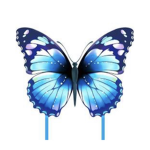 Butterfly house :)
