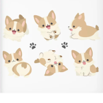 welcome to corgi club
