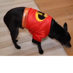 Spoony doo