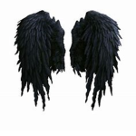 DARK SHADOW WINGS GROUP