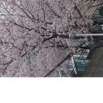 준서의그룹