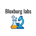 Bloxburg Labs