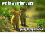 .Warriors Fanclub.