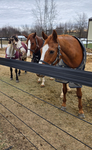 Hickory Lane Eq Events