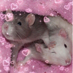 mouseville