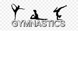 Airborne Gymnastics Group Gym