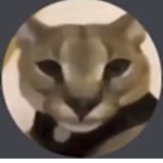 ودوم