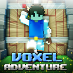Voxel Adventure