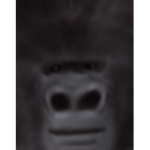 The Official Noob Foundation