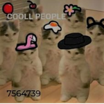 COOLL PEOPLE