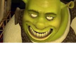 Shrek Is Gamer