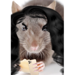 RATS ONLY NO HUMANS ALOWED