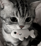 rely on u