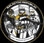 The 186th "Beskar" Battalion