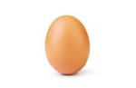 TEAM EGG :D