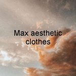 Max aesthetic clothes