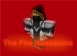 Fire Assassins
