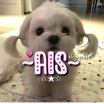 ~ ais ~