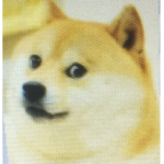 Dogo send