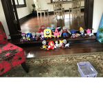 Plushy’s group