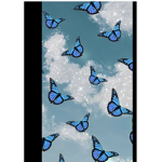 Pretty Butterfly’s Are Amazing