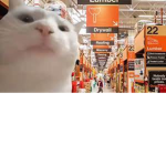 Home depot / stuff