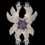 Morning-star family Occult