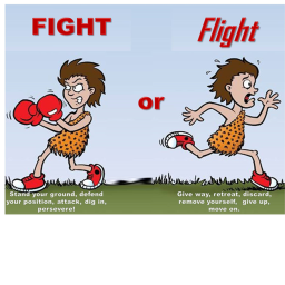 Fight for your life