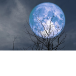 The Moon's Group