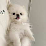 ‘lae
