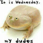 It is Wednesday my dudes.