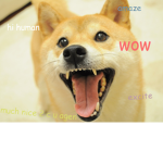 Doge Labs. Inc.