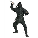 S.N.W. (Secret Ninjas Of The World)