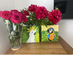 Parrots and animal group