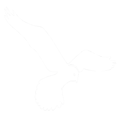 Kestrel Logo in White Roblox decal