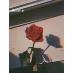 Lost_dreams_aesthetics