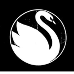 Aesthetic swans