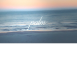 Palm Inc.